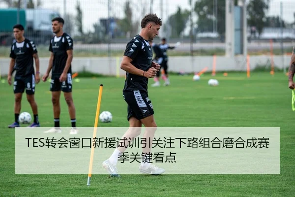 TES转会窗口新援试训引关注下路组合磨合成赛季关键看点
